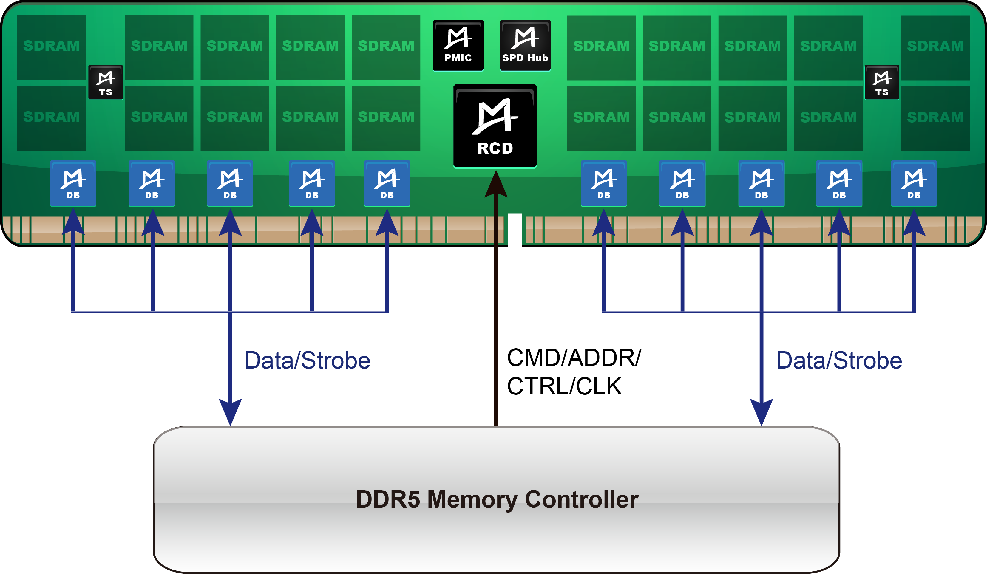 M88DR5DB01